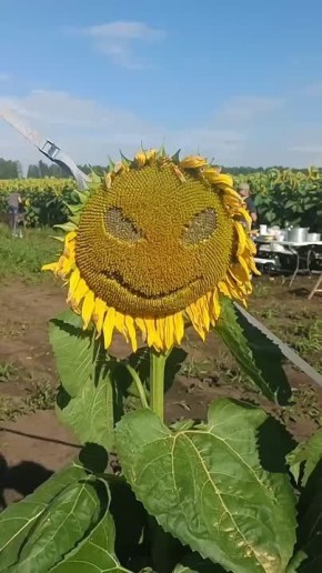  ,        !