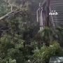  ""   - :     ,  ,    ,        