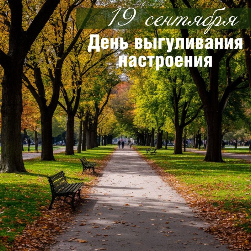 19  -   