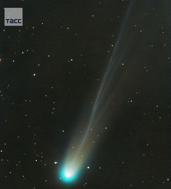 Новосибирские астрономы сфотографировали одну из самых ярких комет осени — C/2025 A6 (Lemmon), сообщили ТАСС в НГУ