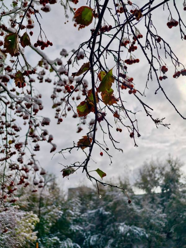  , !.       +3.     ? /      |   MAX