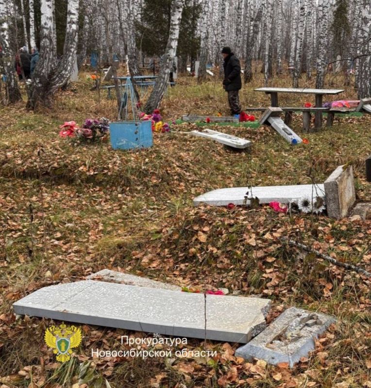 В Новосибирской области трое малолетних детей разгромили сельское кладбище