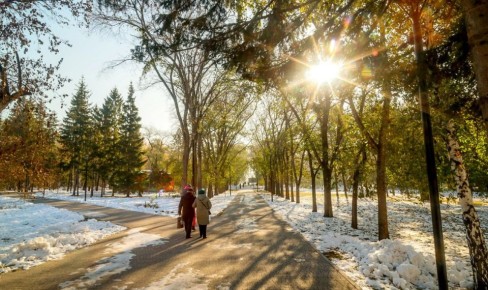 Потепление до +10 градусов ждёт новосибирцев к концу рабочей недели