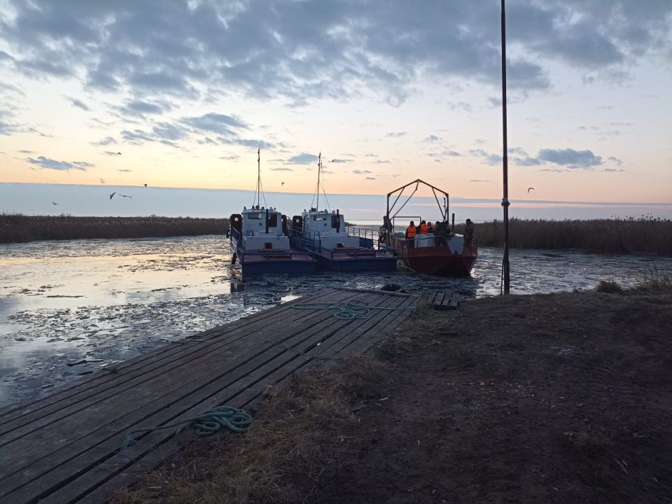 В минсельхозе Новосибирской области рассказали, какую рыбу выращивают в регионе для продажи на экспорт