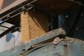 О темпах уборочной кампании-2025 рассказал министр Андрей Шинделов