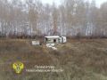 Прокуратурой Краснозерского района организована проверка по факту