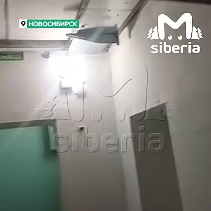"Мы идём домой. Потолок у нас обрушился"