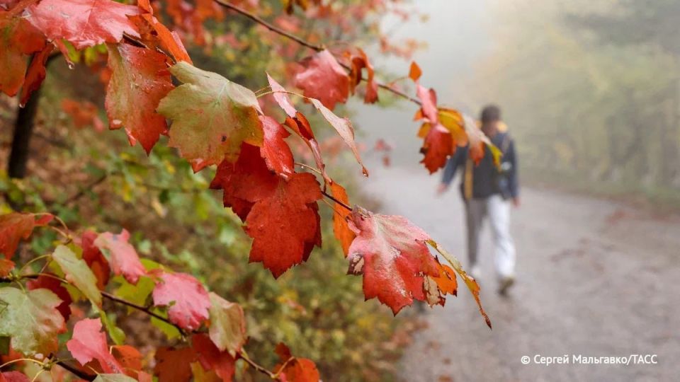 Теплая погода — до +13 градусов — ожидается сегодня в ряде регионов Сибири