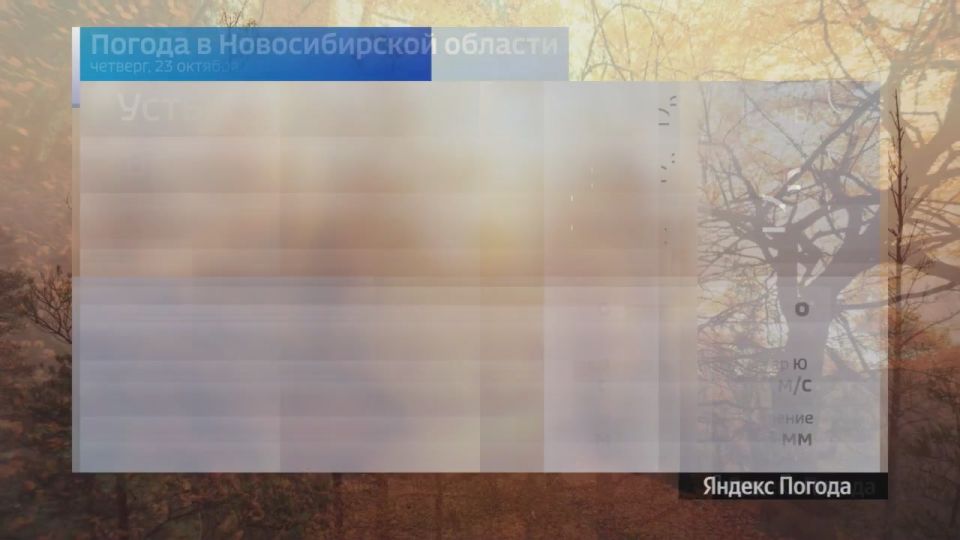 Вести Новосибирск