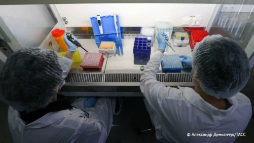 В Новосибирске разработали новые соединения для получения спирта и метилфурана, использующихся при синтезе лекарств