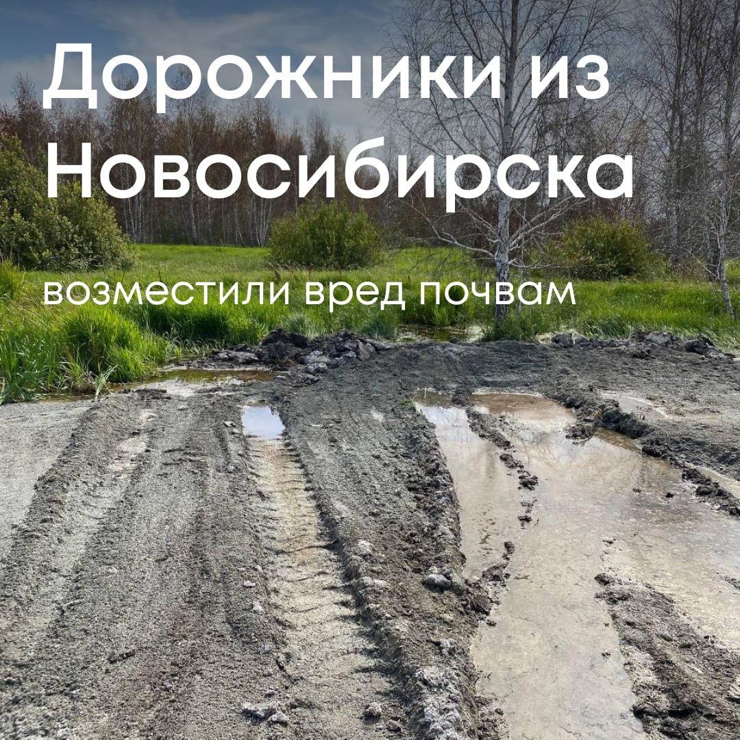 ООО «Новосибирскагропромдорстрой» в полном объеме и в установленный срок возместило вред, причиненный окружающей среде в Татарском районе Новосибирской области