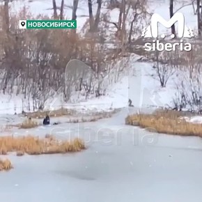 Школьники снова вышли на тонкий лёд в Новосибирске