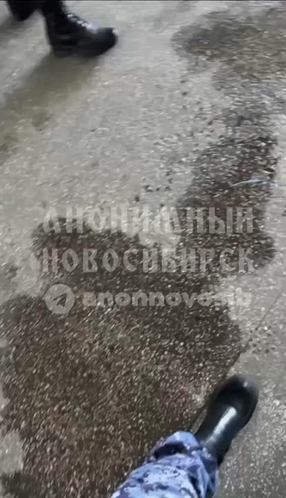 Студенты НГАУ факультета СПО жалуются на текущий потолок в коридоре