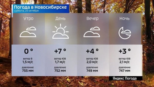 Вести Новосибирск