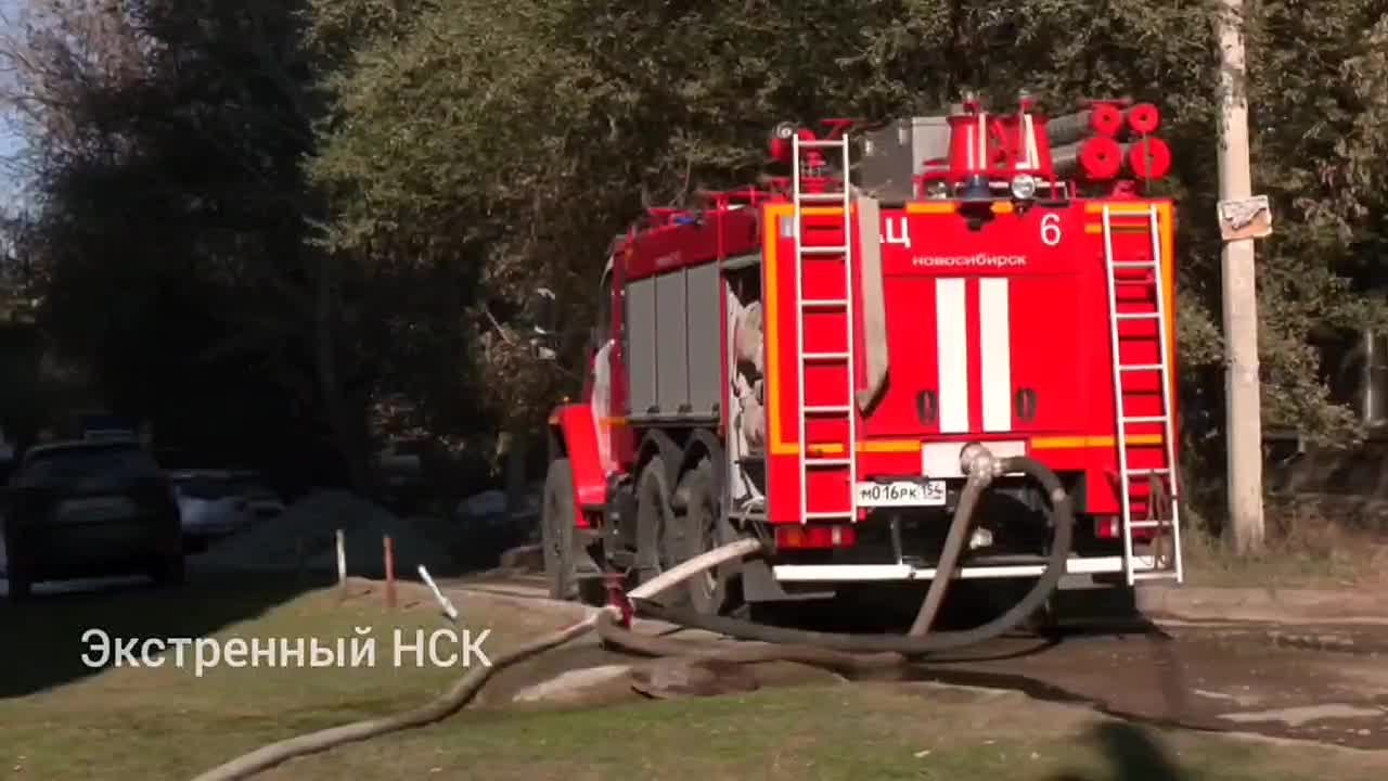 «Его лечить надо, какая зона?!»