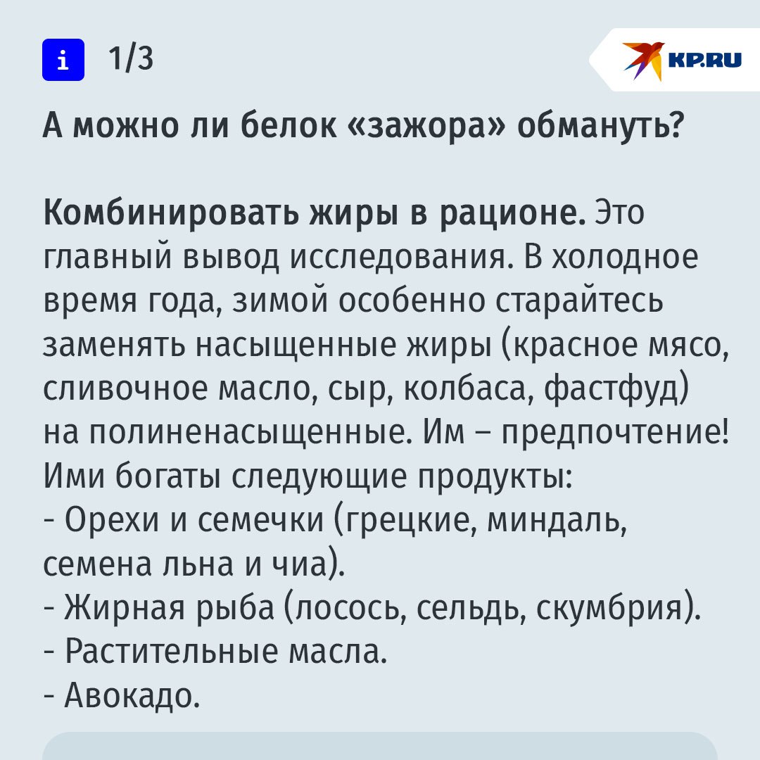 Все мы немного манул Тимоша: почему осенью у нас начинается зажор Все мы немного манул Тимоша: почему осенью у нас начинается зажор