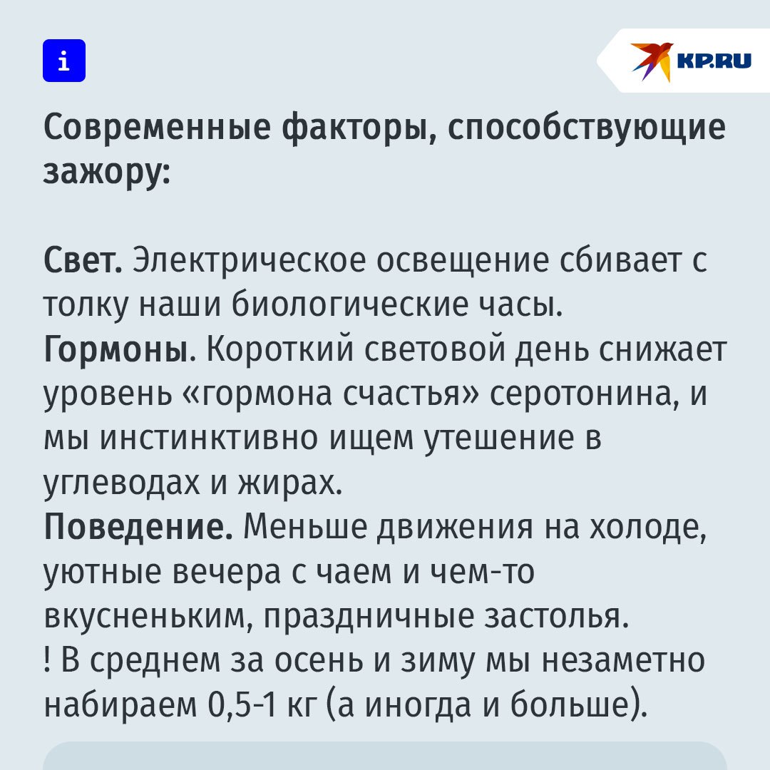 Все мы немного манул Тимоша: почему осенью у нас начинается зажор Все мы немного манул Тимоша: почему осенью у нас начинается зажор