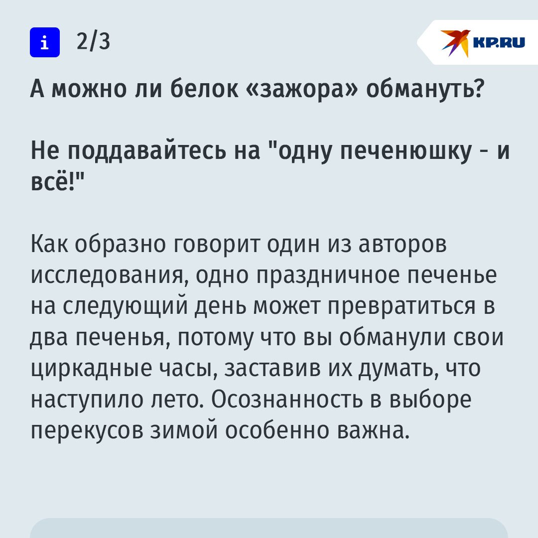 Все мы немного манул Тимоша: почему осенью у нас начинается зажор Все мы немного манул Тимоша: почему осенью у нас начинается зажор