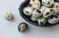 Когда перепелиные яйца могут быть вредны: о чем следует помнить