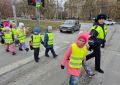 Госавтоинспекция города Новосибирска провели акцию "Безопасный маршрут"