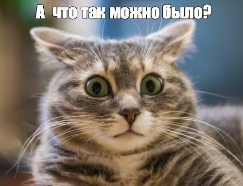 Выдайте мне бесплатный айфон!