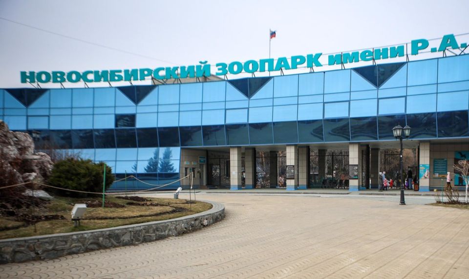 Новый вольер для карликовых бегемотов и медоедов появится в зоопарке