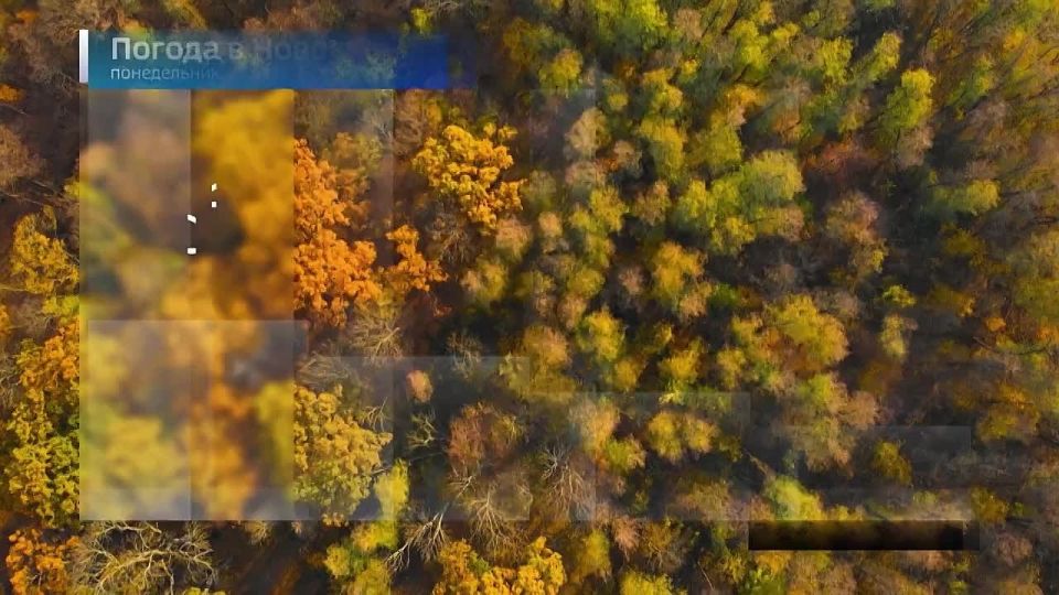 Вести Новосибирск