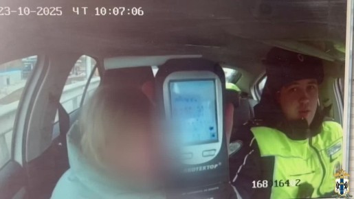 Полицейские задержали подозреваемую в угоне автомобиля