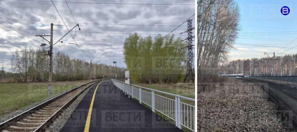 Попытка изнасилования. Неизвестный мужчина угрожал женщине ножом и пытался её изнасиловать около микрорайона Чистая Слобода в Новосибирске