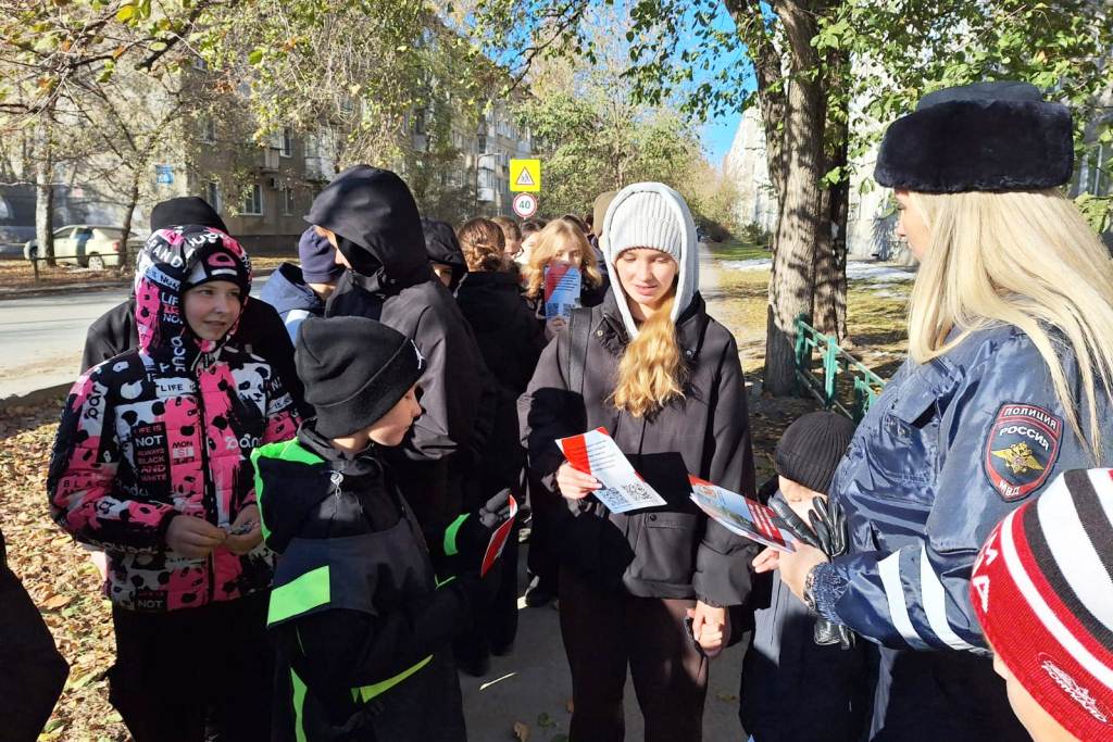 Госавтоинспекция г. Новосибирска провела профилактическую акцию "Грамотный пешеход"! Госавтоинспекция г. Новосибирска провела профилактическую акцию "Грамотный пешеход"!