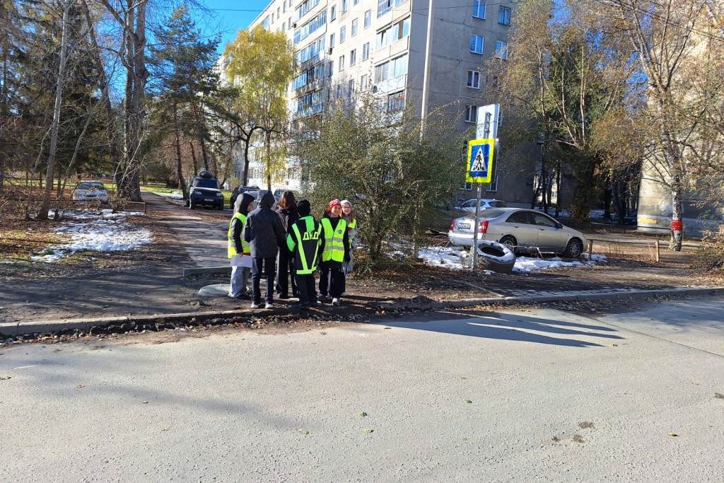 Госавтоинспекция г. Новосибирска провела профилактическую акцию "Грамотный пешеход"! Госавтоинспекция г. Новосибирска провела профилактическую акцию "Грамотный пешеход"!