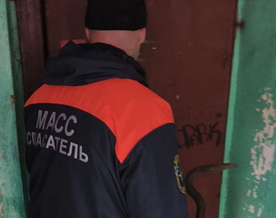 "Мама не просыпается". Пятилетний малыш вызвал спасателей для своей мамы-наркоманки в Новосибирске