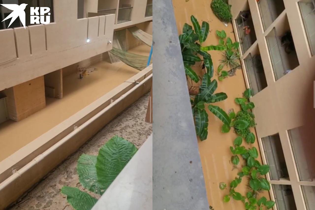 «Улицы затопило, воды и электричества не было»: новосибирец отсудил 250 тысяч за отпуск в Таиланде, испорченный из-за наводнения «Улицы затопило, воды и электричества не было»: новосибирец отсудил 250 тысяч за отпуск в Таиланде, испорченный из-за наводнения