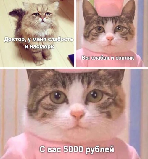 Чекап организма перед зимней стужей