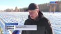 Общие цифры внушают оптимизм и регион себя точно прокормит