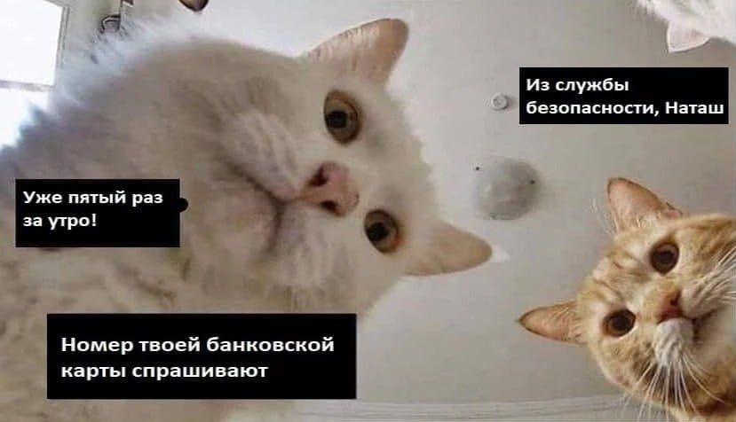 Названы главные мошеннические схемы осени