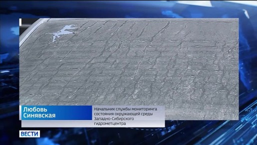 Были превышения. Начальник службы мониторинга окружающей среды Западно-Сибирского гидрометцентра Любовь Синявская озвучила данные по загрязнению воздуха во время режима «чёрного неба» в Новосибирске: