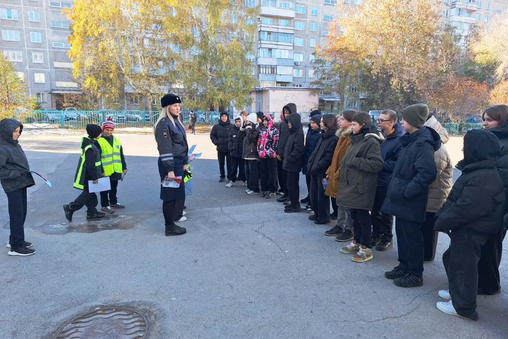 Госавтоинспекция г. Новосибирска провела профилактическую акцию "Грамотный пешеход"! Госавтоинспекция г. Новосибирска провела профилактическую акцию "Грамотный пешеход"!