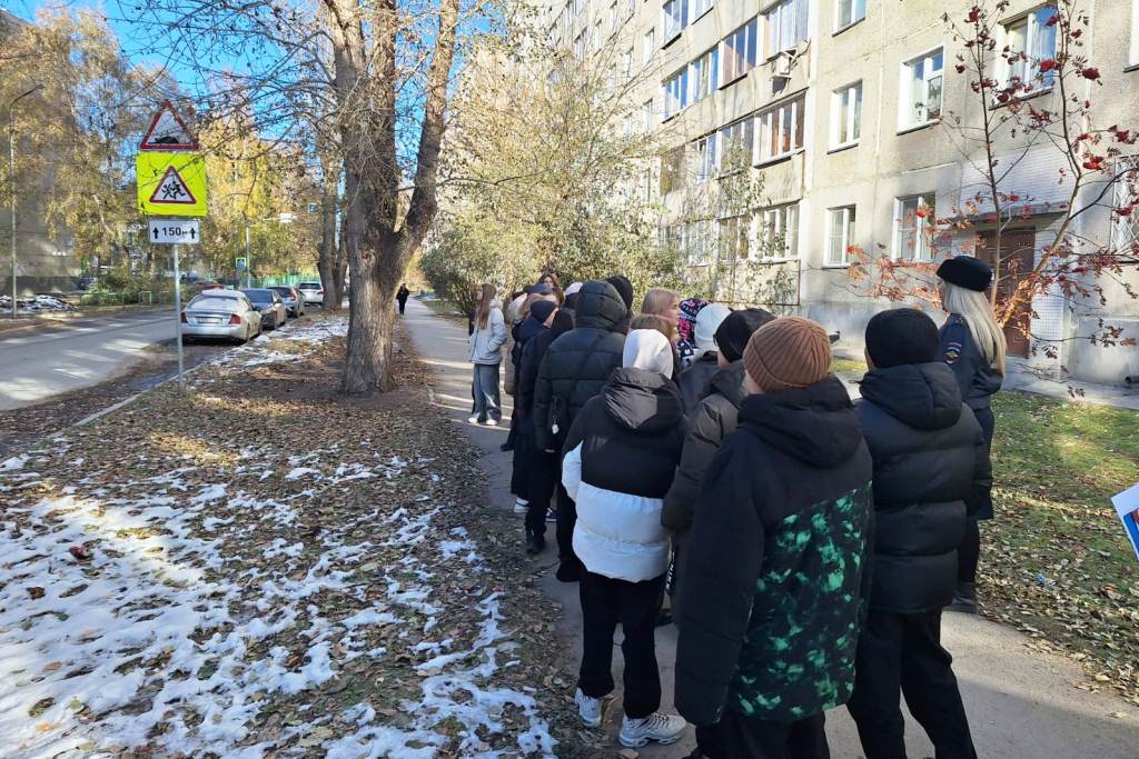 Госавтоинспекция г. Новосибирска провела профилактическую акцию "Грамотный пешеход"! Госавтоинспекция г. Новосибирска провела профилактическую акцию "Грамотный пешеход"!
