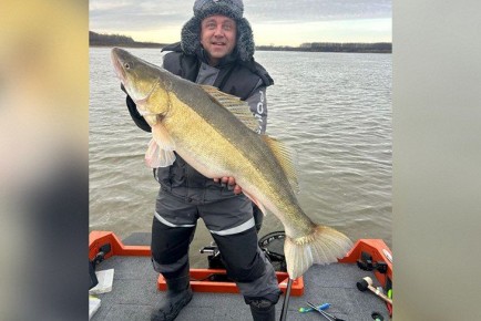 Судака-чемпиона выловил рыбак из Искитима