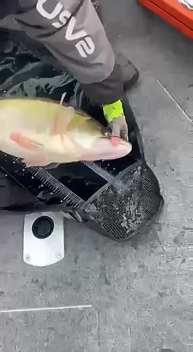 12,130  -    ,      vn.ru