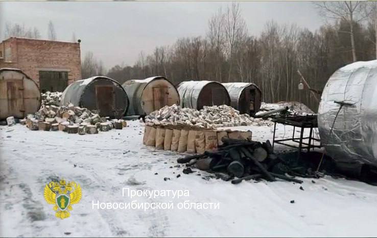 В Новосибирской области вынесен приговор по уголовному делу о незаконной рубке и повреждении лесных насаждений