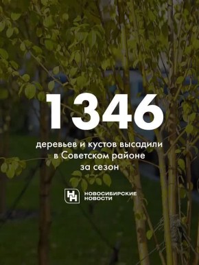 На озеленение Советского района Новосибирска в этом году выделили дополнительно 2,9 млн рублей. 20 миллионов администрация получила на реконструкцию газонов по поручению мэра Максима Кудрявцева