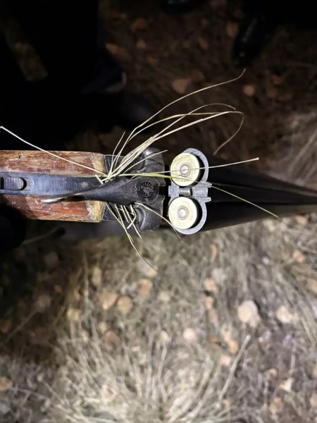 В Здвинском районе задержан подозреваемый в незаконной охоте В Здвинском районе задержан подозреваемый в незаконной охоте