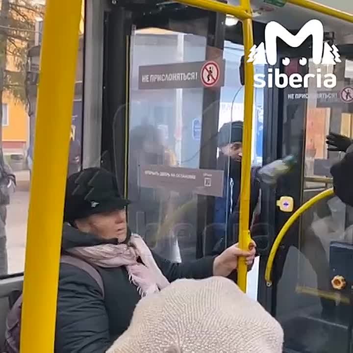 Беременная женщина спровоцировала мордобой в троллейбусе №22 в Новосибирске