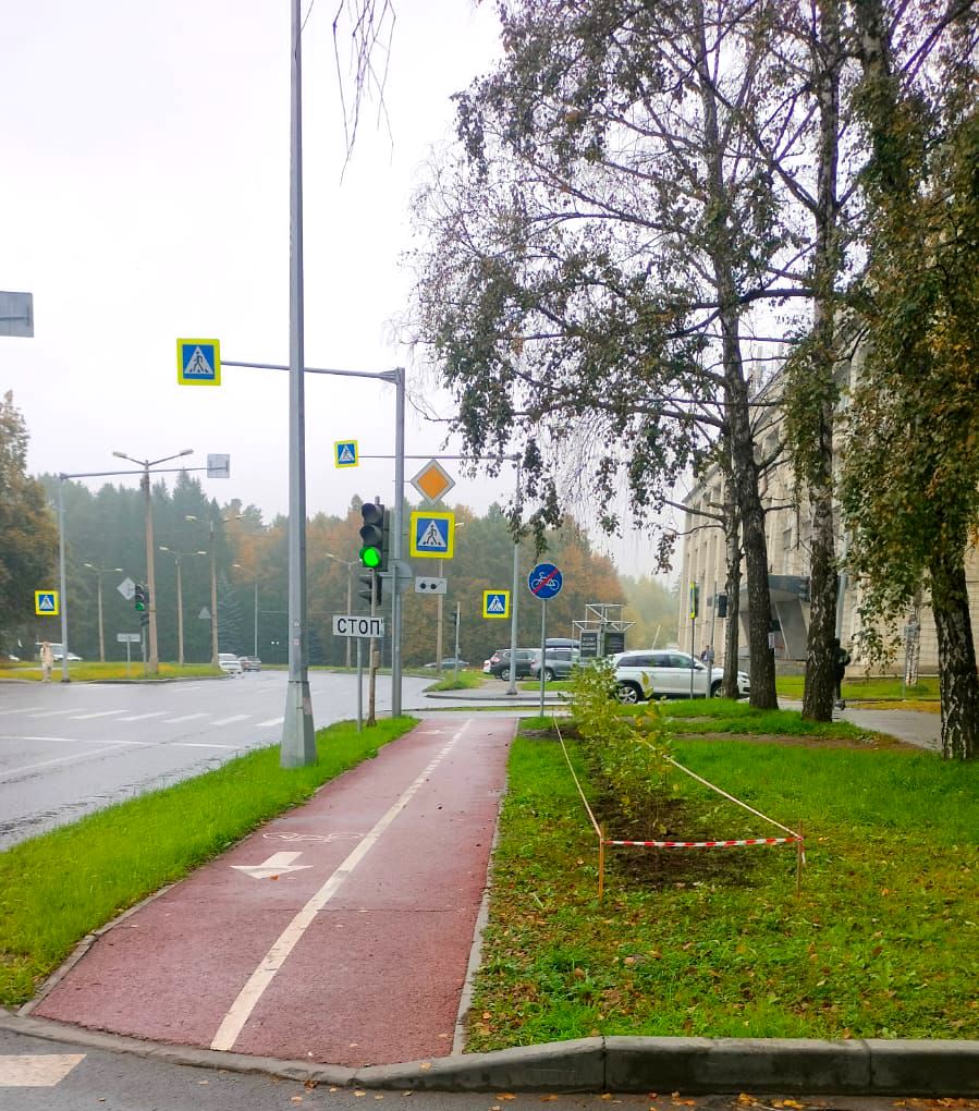 Где в этом году высадили новые деревья и кустарники в Советском районе