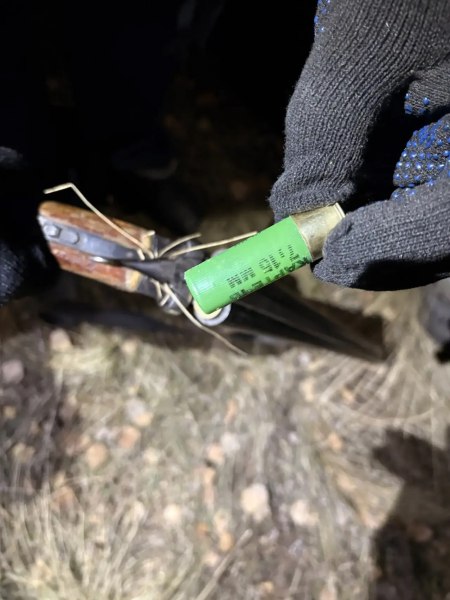 В Здвинском районе задержан подозреваемый в незаконной охоте В Здвинском районе задержан подозреваемый в незаконной охоте