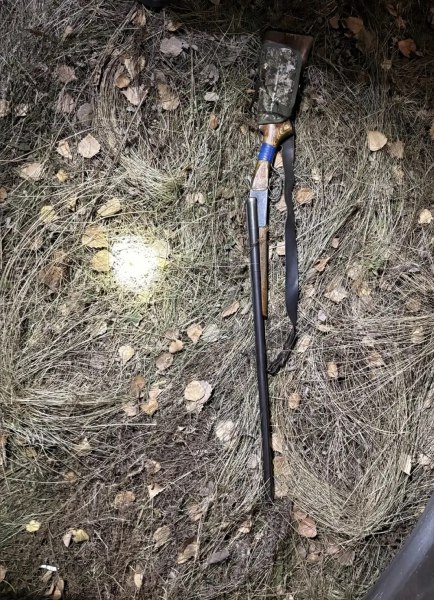 В Здвинском районе задержан подозреваемый в незаконной охоте В Здвинском районе задержан подозреваемый в незаконной охоте