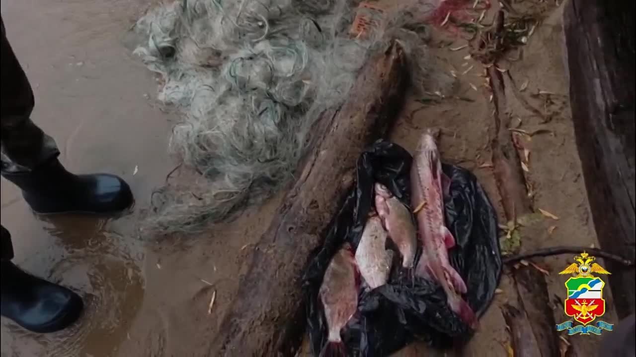 В Новосибирске транспортные полицейские подвели итоги навигации