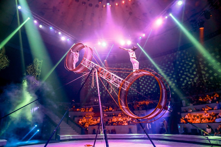 Синтез иллюзии, клоунады и дрессуры: цирк Филатовых приехал в Новосибирск